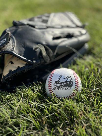 Personalized Baseballs